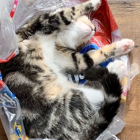 Join our new tag list !! Let’s help each other 💕 - Picture 6 of 7